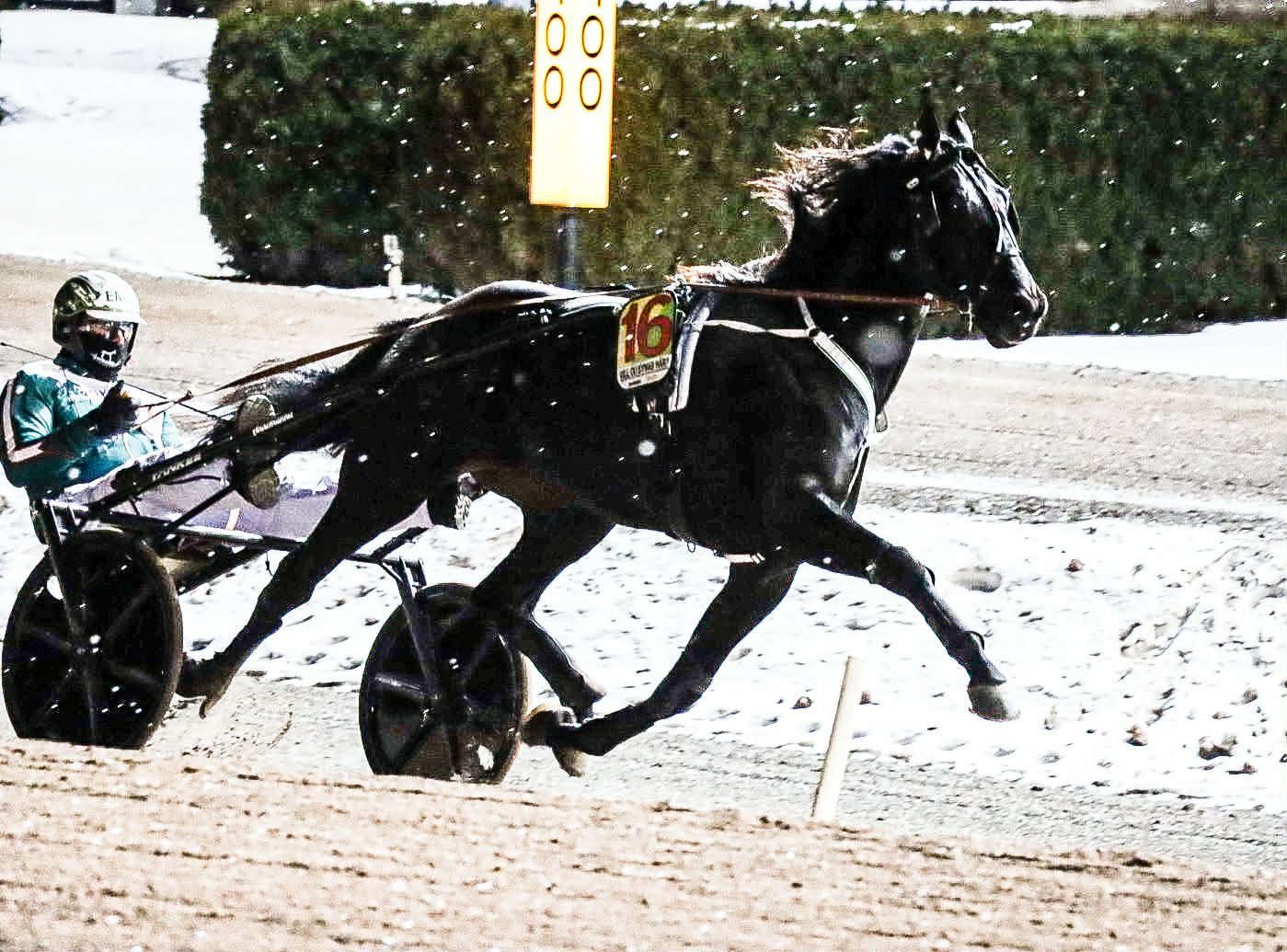 Hitting Hard 260211-1.jpg Ida